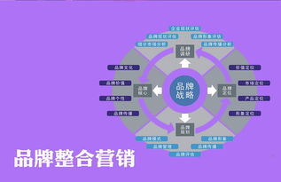 杭州暢聚科技 面向江山市的互聯(lián)網(wǎng)推廣策略與技術(shù)實(shí)踐