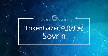 從TokenGazer深度研究看Sovrin 技術(shù)落地可期，但大規(guī)模推廣之路任重道遠(yuǎn)